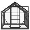 Glass Greenhouse Anthracite 61"x78.9"x75.2" Aluminum