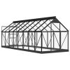 Glass Greenhouse Anthracite 61"x155.7"x75.2" Aluminum